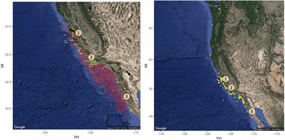 Spatial Distribution, Temporal Changes, and Knowledge Gaps in Basking Shark (Cetorhinus maximus) Sightings in the California Current Ecosystem